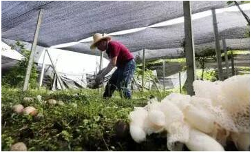 1539658716123972.png image.png