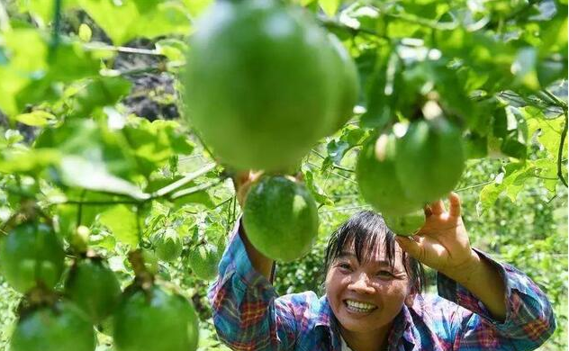 1539658750405127.png image.png